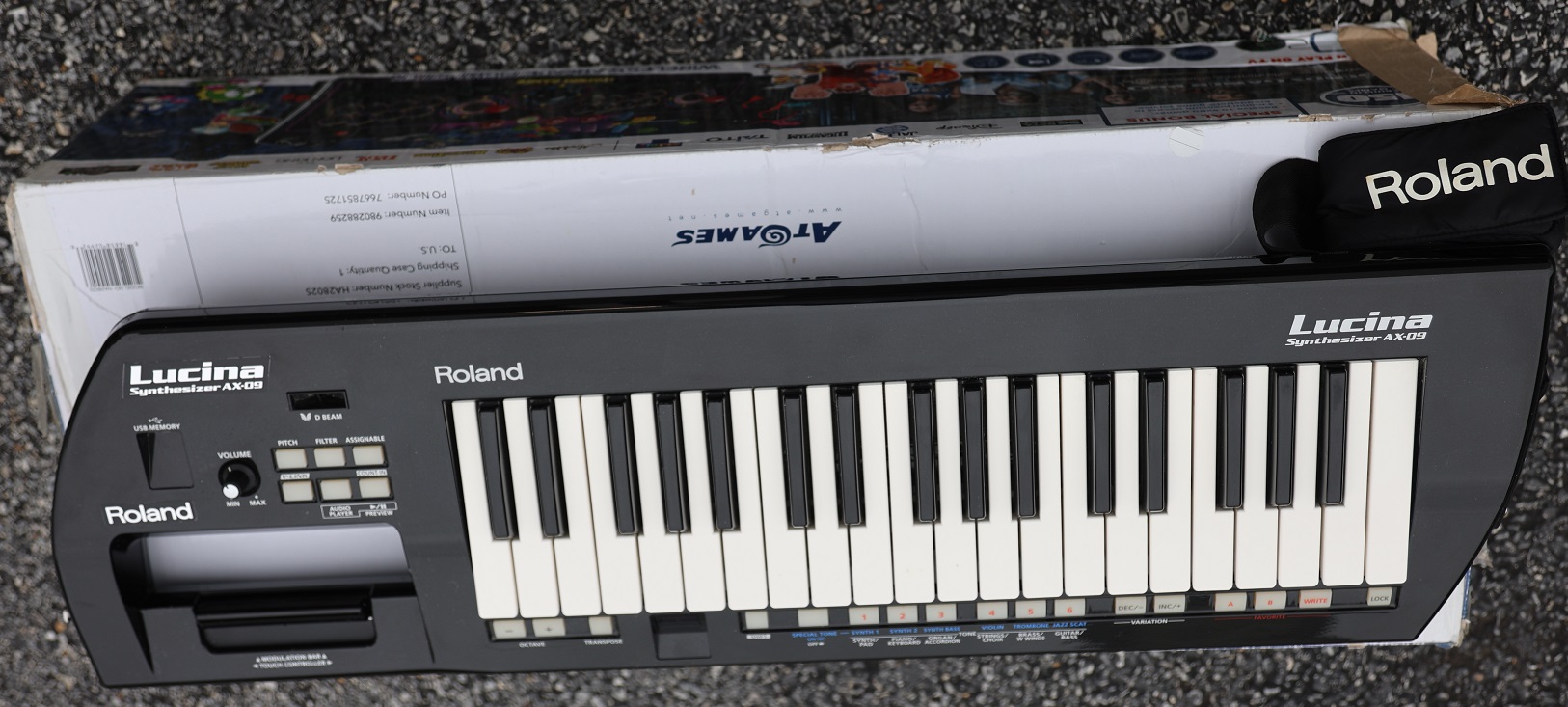 ROLAND AX-09 Keytar Synthesizer - AjamSonic | Custom Styles &amp