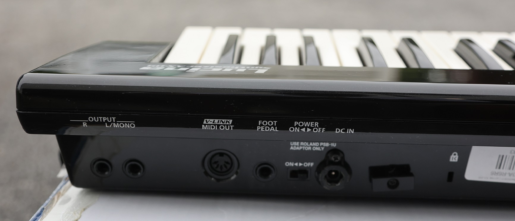 ROLAND AX-09 Keytar Synthesizer - AjamSonic | Custom Styles &amp